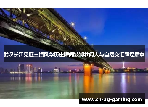 武汉长江见证三镇风华历史瞬间波澜壮阔人与自然交汇辉煌篇章