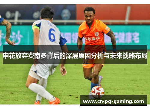 申花放弃费南多背后的深层原因分析与未来战略布局