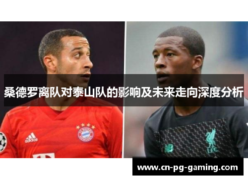 桑德罗离队对泰山队的影响及未来走向深度分析