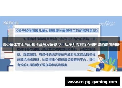 青少年体育中的心理挑战与发展路径：从压力应对到心理困境的深度剖析