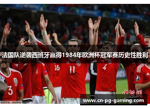 法国队逆袭西班牙赢得1984年欧洲杯冠军赛历史性胜利